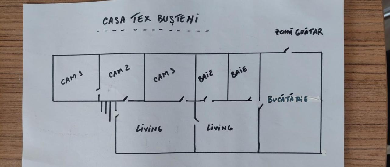 Casa Tex Villa Busteni Ngoại thất bức ảnh
