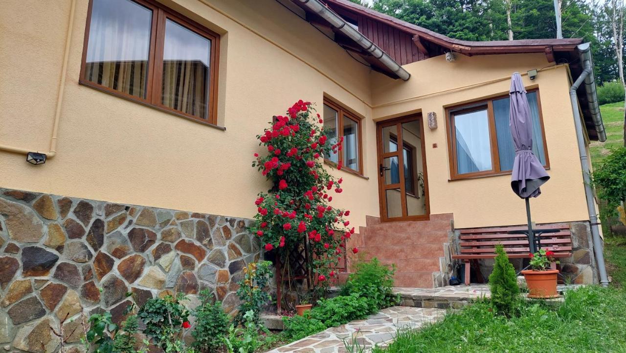 Casa Tex Villa Busteni Ngoại thất bức ảnh